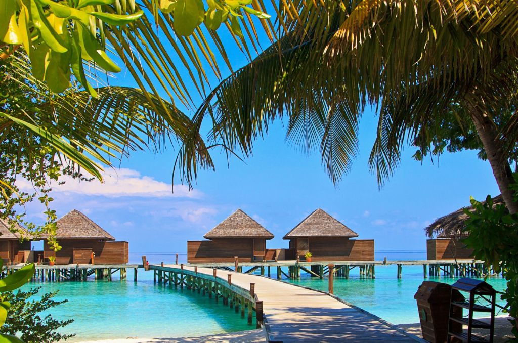 Ein Holzsteg führt über türkisfarbenes Wasser zu Wasserbungalows auf Pfählen. Palmblätter rahmen die tropische Urlaubsszene ein.